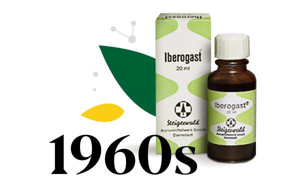 Date 1960s surrounded by leaves and old fashioned bottle of Iberogast with its packaging next to it.
